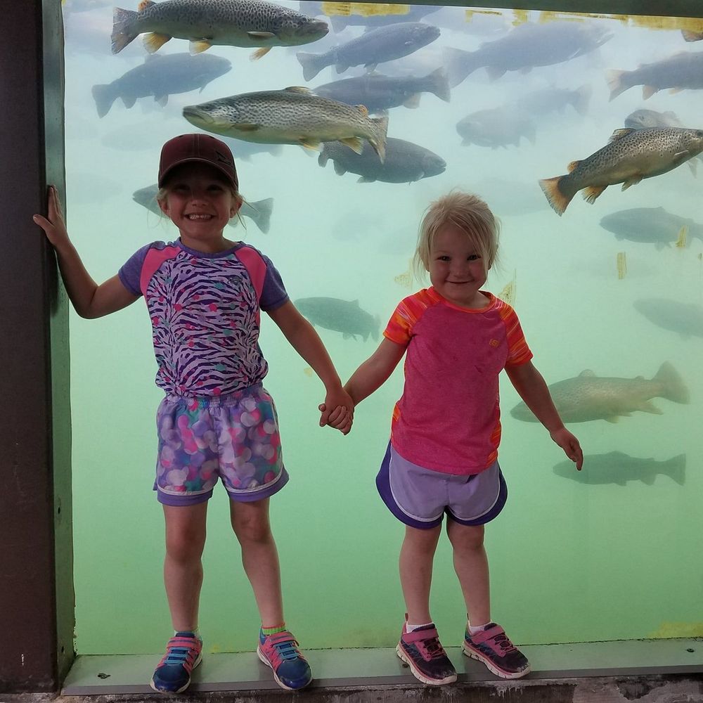 Meet your Posher, Kelsey